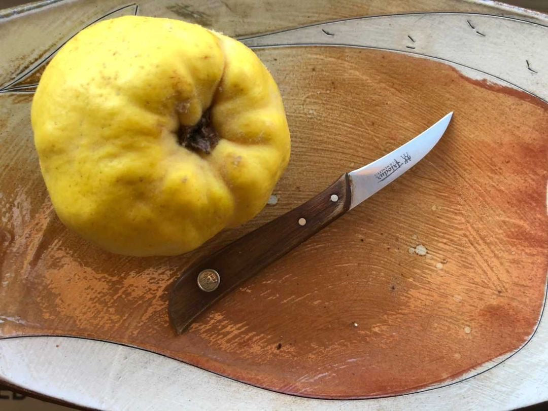 Saba Parsa Saba Parsa