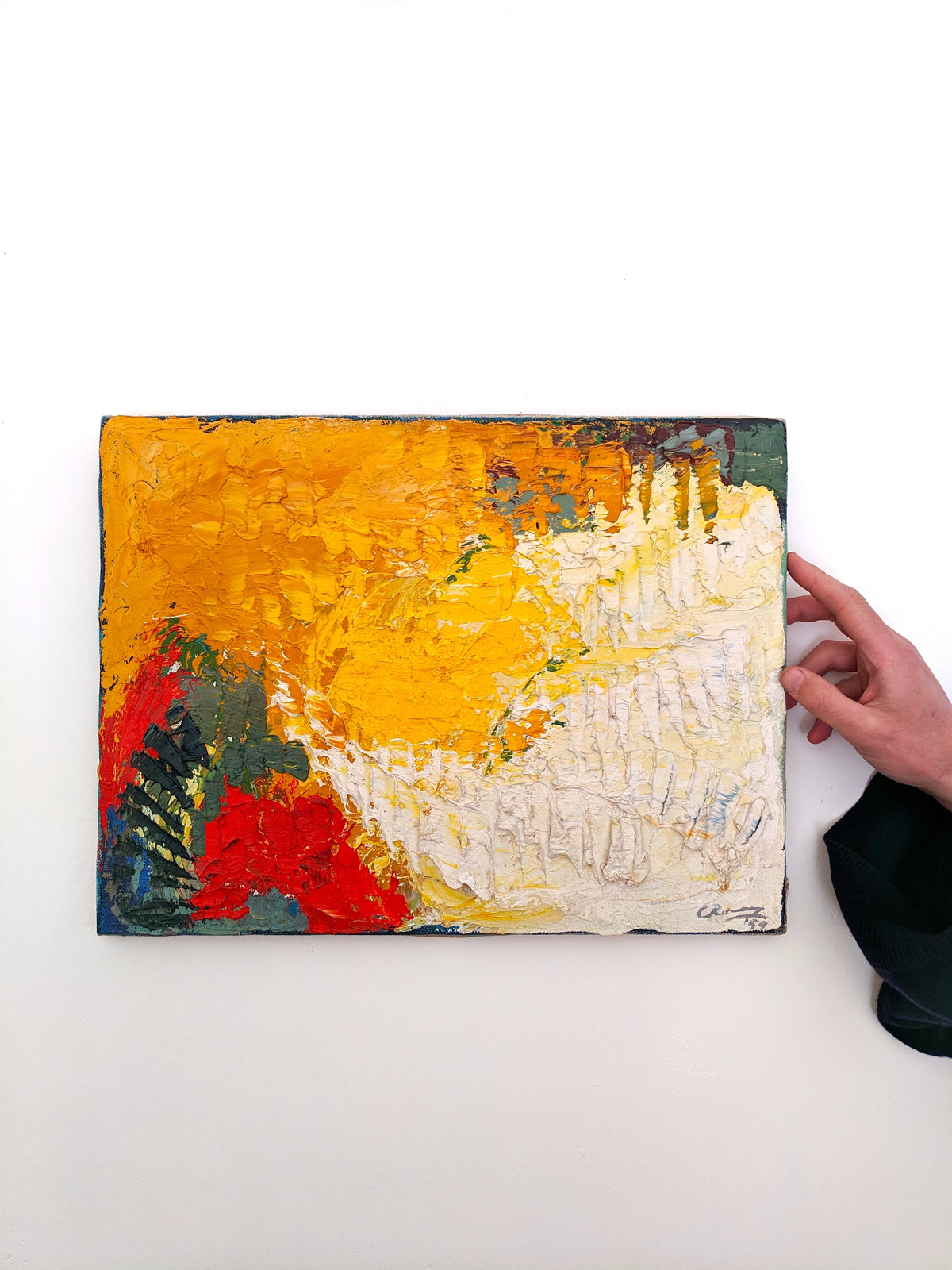 Alisa Grifo Alisa Grifo