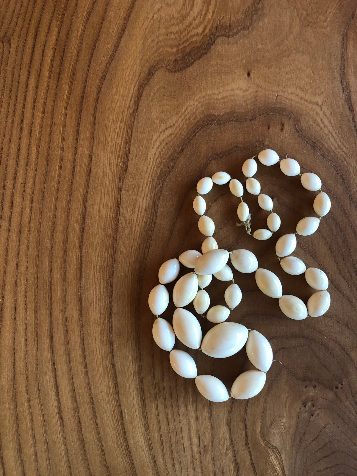 Lazuli Whitt Lazuli Whitt