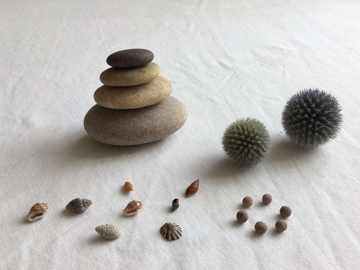 Momoko Mizutani Momoko Mizutani