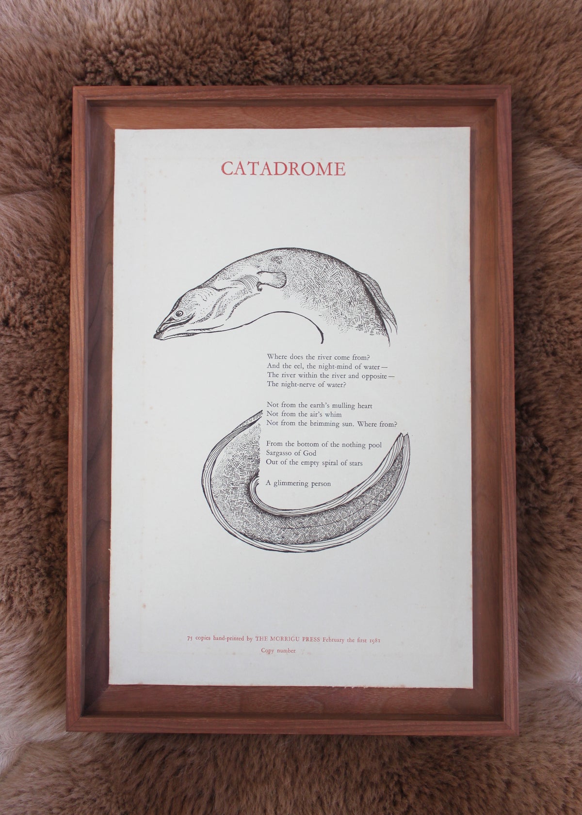 Sam Bakewell Sam Bakewell