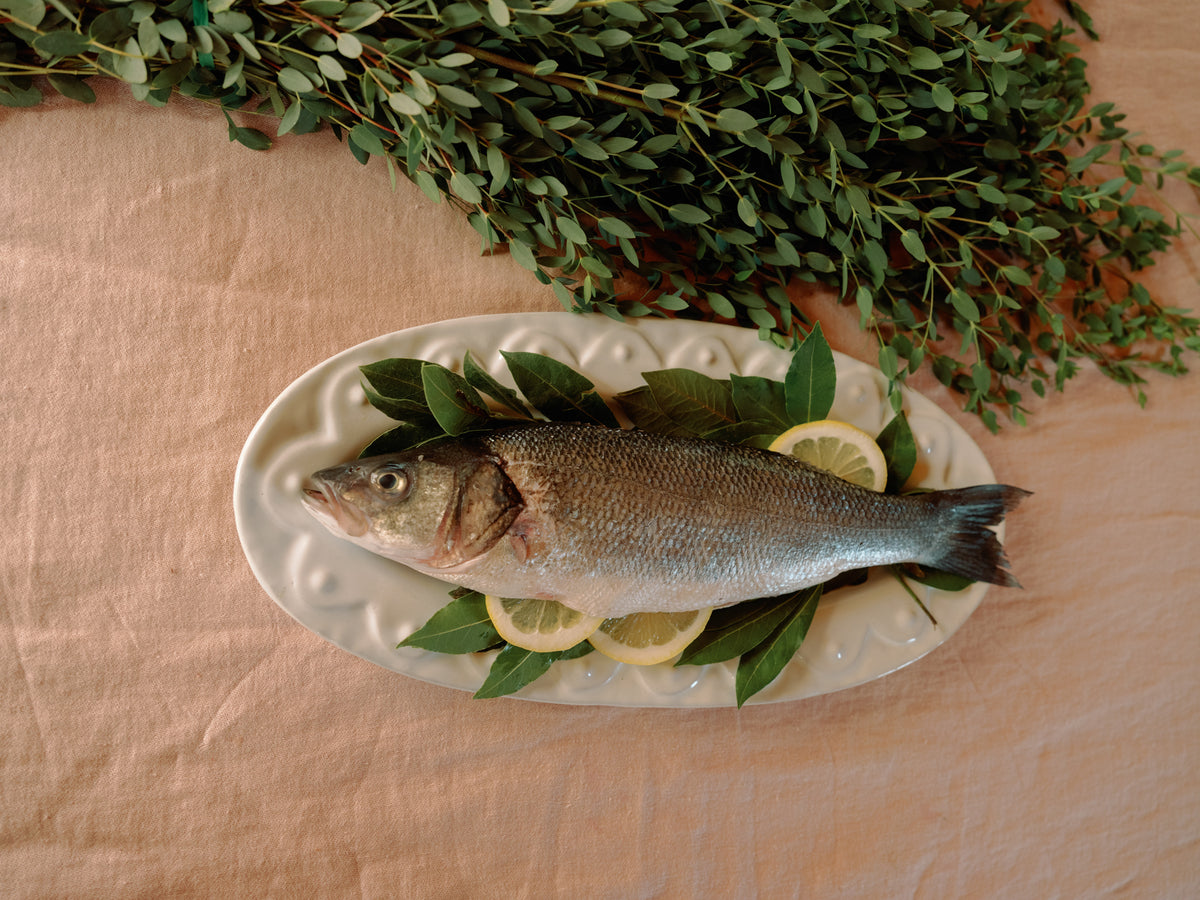 Feast of Seven Fishes Feast of Seven Fishes