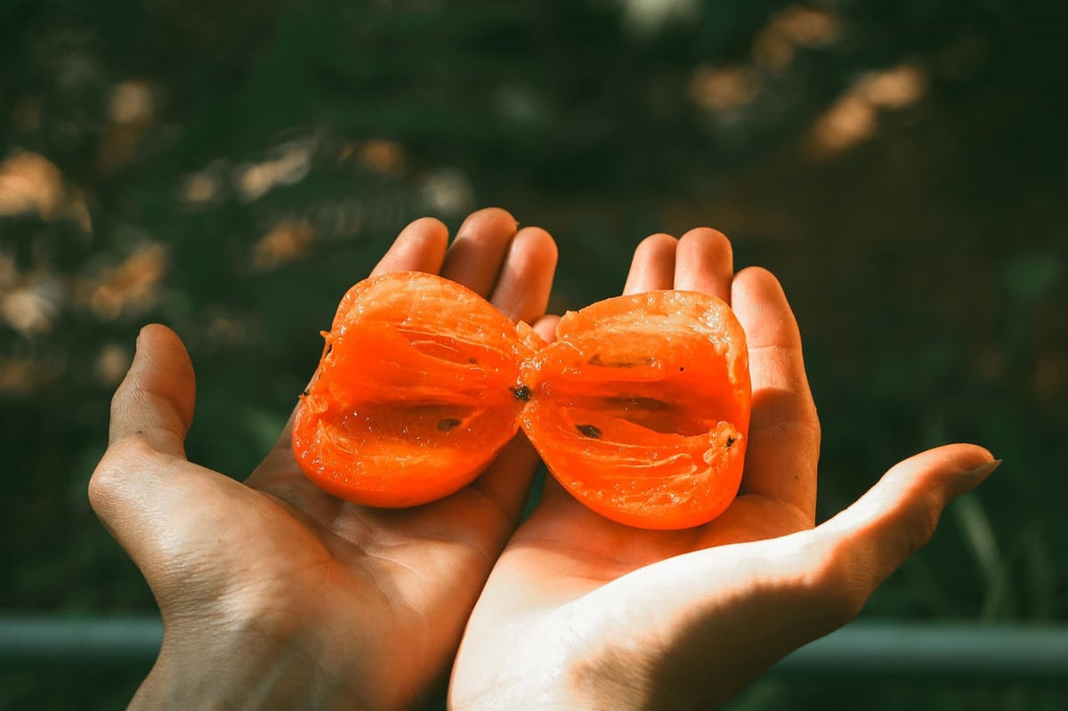 Fanny's Persimmon Pudding